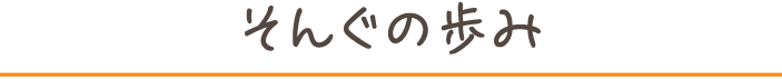 そんぐの歩み